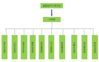 一封來(lái)自共青團(tuán)的信 讓大學(xué)生活多姿多彩，溫職院十二大組織招新啟航