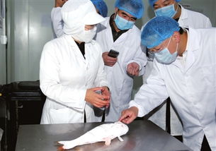 聚焦接待業務 從幕后到臺前的專業服務